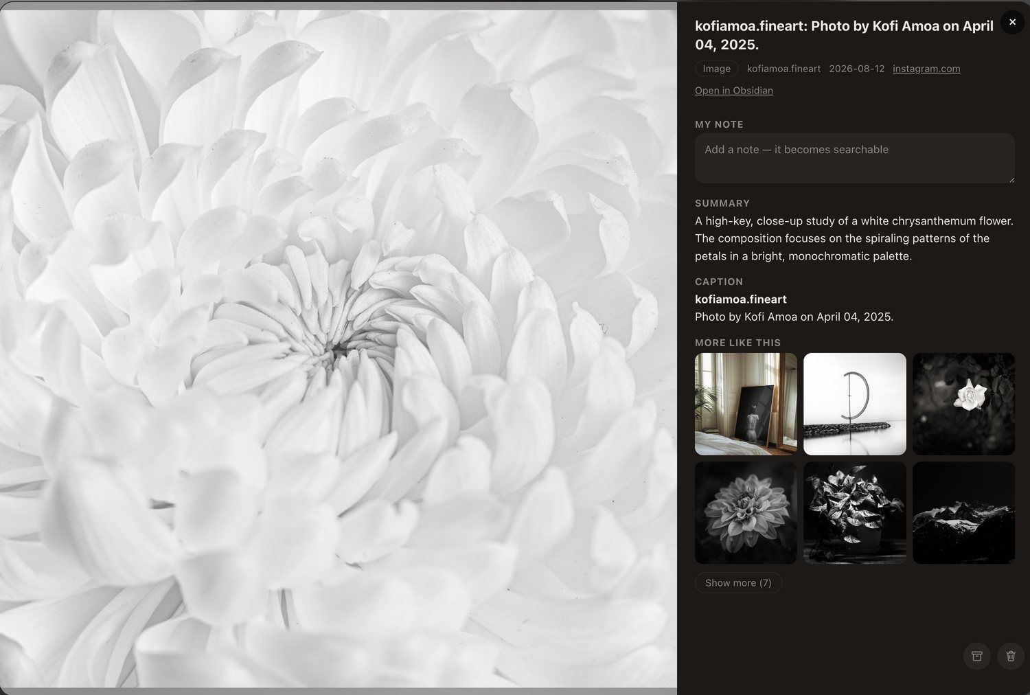 A saved photograph open in Tenoa, with a written summary of the picture, its caption, and a grid of related images from the same library.